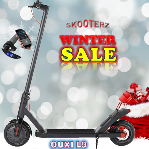 OUXI L9 Foldable 250W 8.5inch Electric Scooter with APP Skooterz